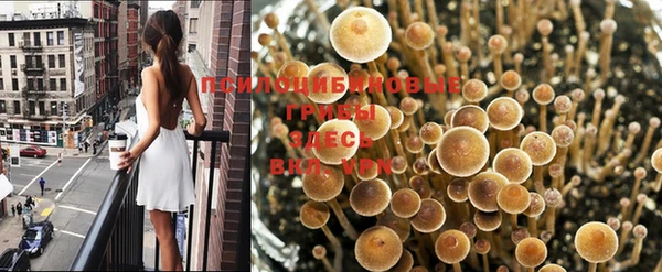 СК Богданович