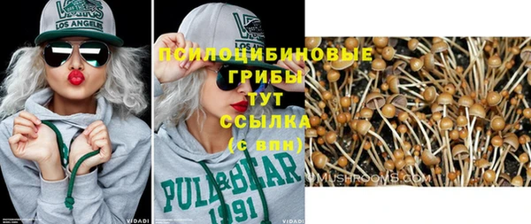 СК Богданович