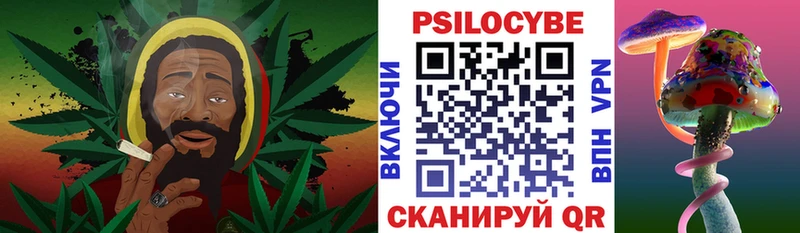 купить  цена  Пермь  Псилоцибиновые грибы GOLDEN TEACHER 